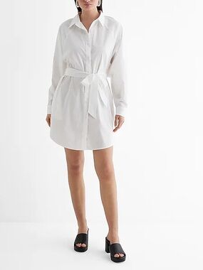 Classic White Shirt Mini Dress with Waist Tie Express Portofino Dress